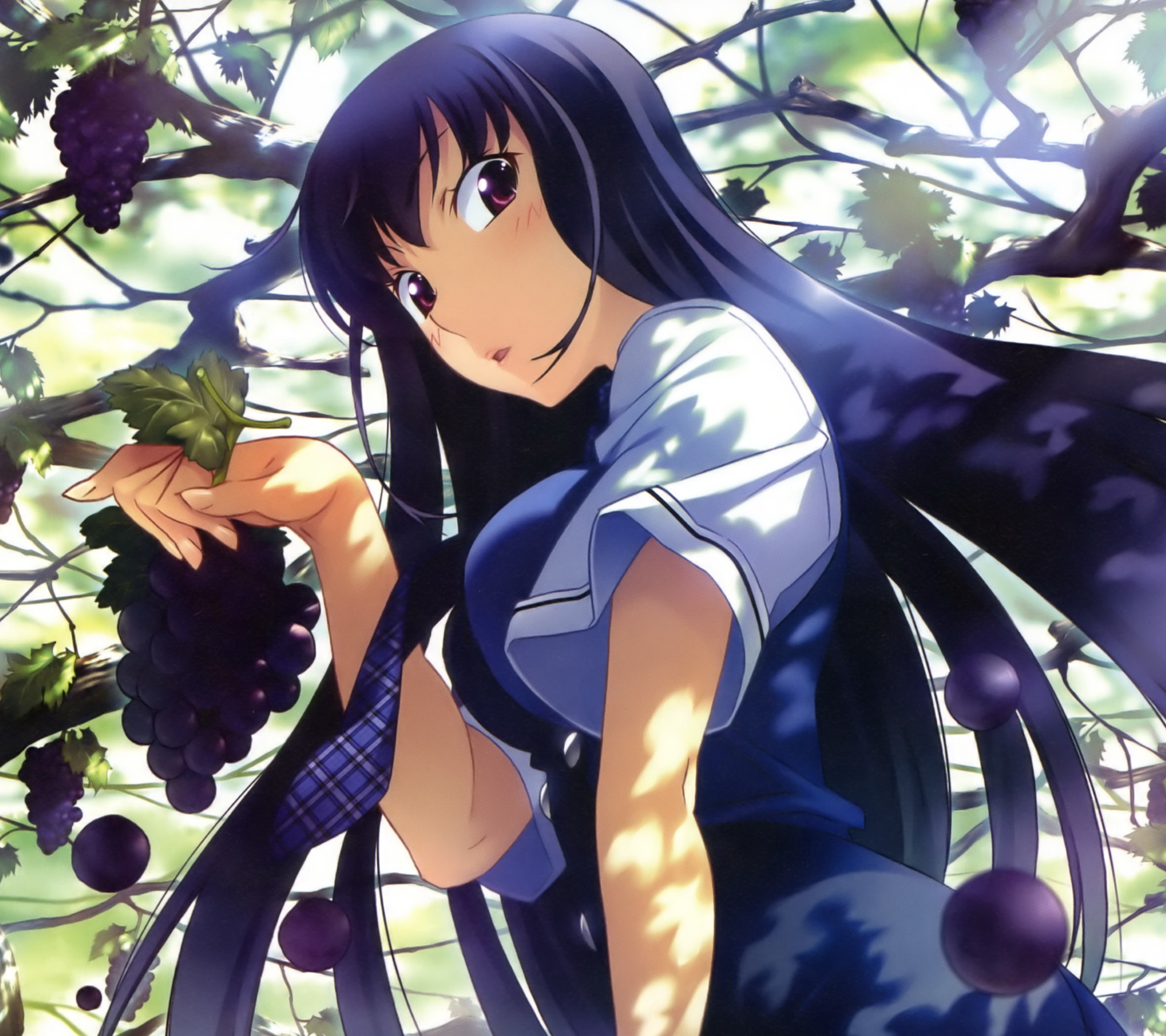 The Fruit Of Grisaia Wallpapers Wallpaper Cave