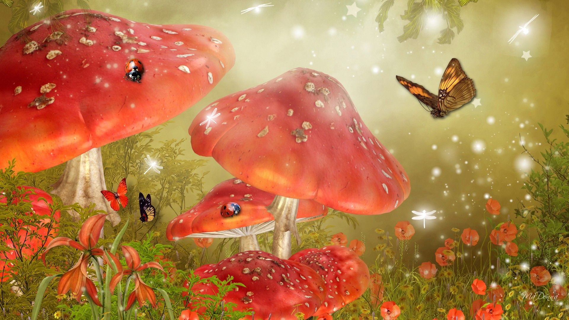 Mushroom Fairy Wallpapers Wallpaper Cave