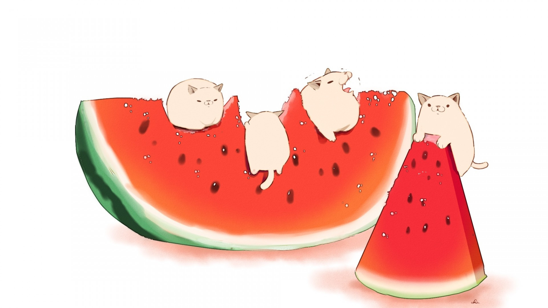 Cute Watermelon Wallpapers Wallpaper Cave