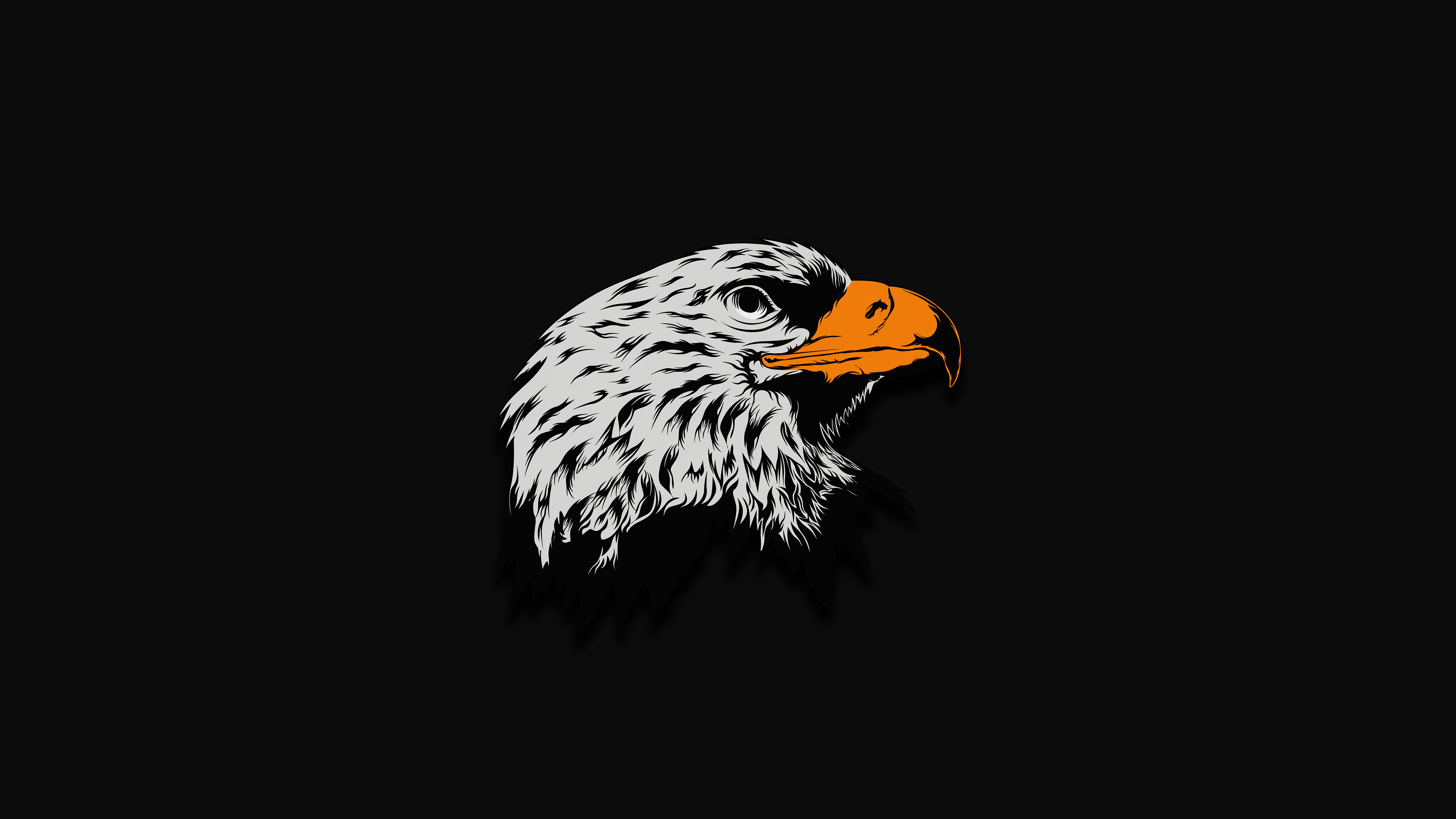 Dark Eagle Wallpapers Wallpaper Cave