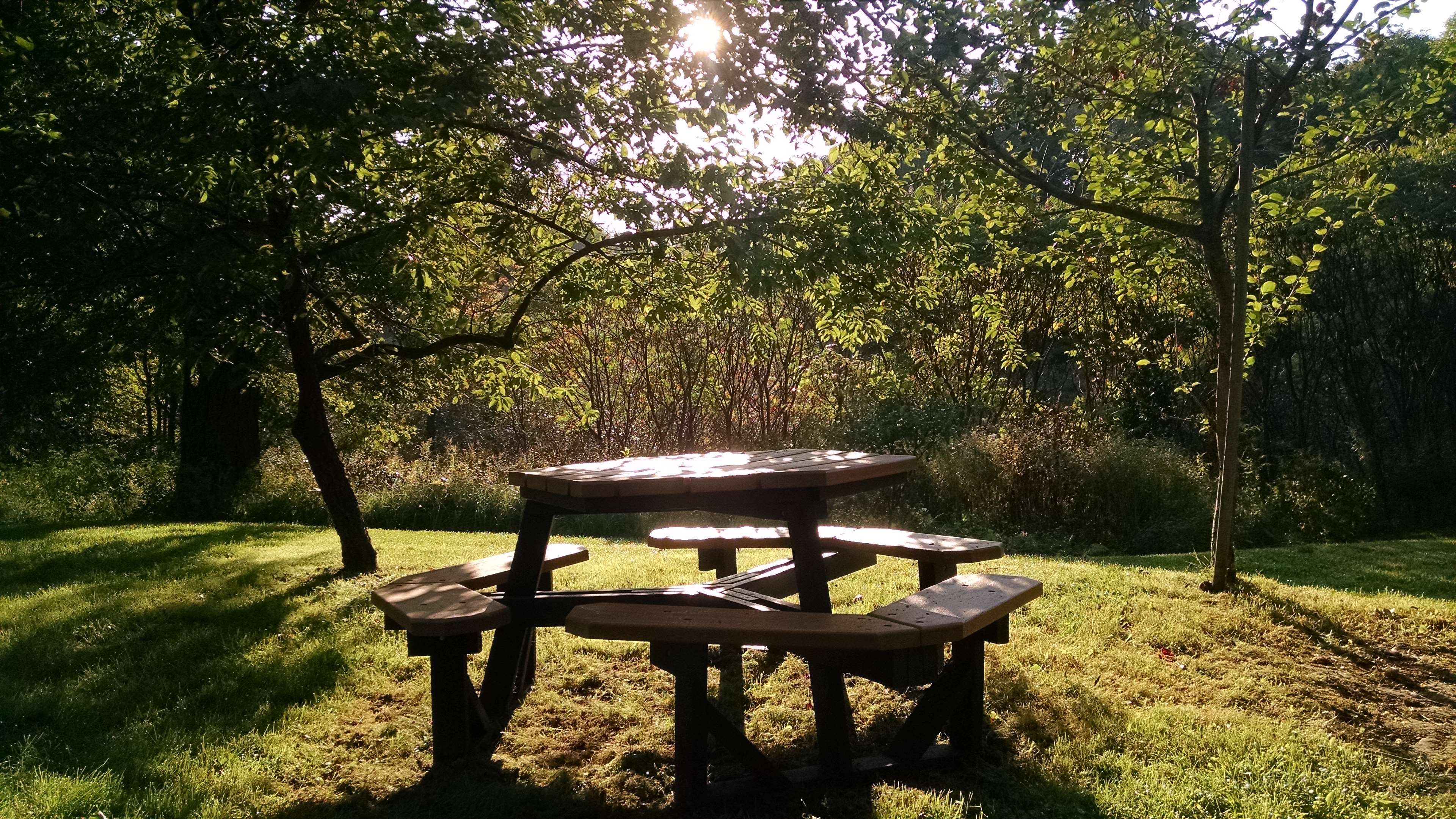 Picnic Table Wallpapers Wallpaper Cave