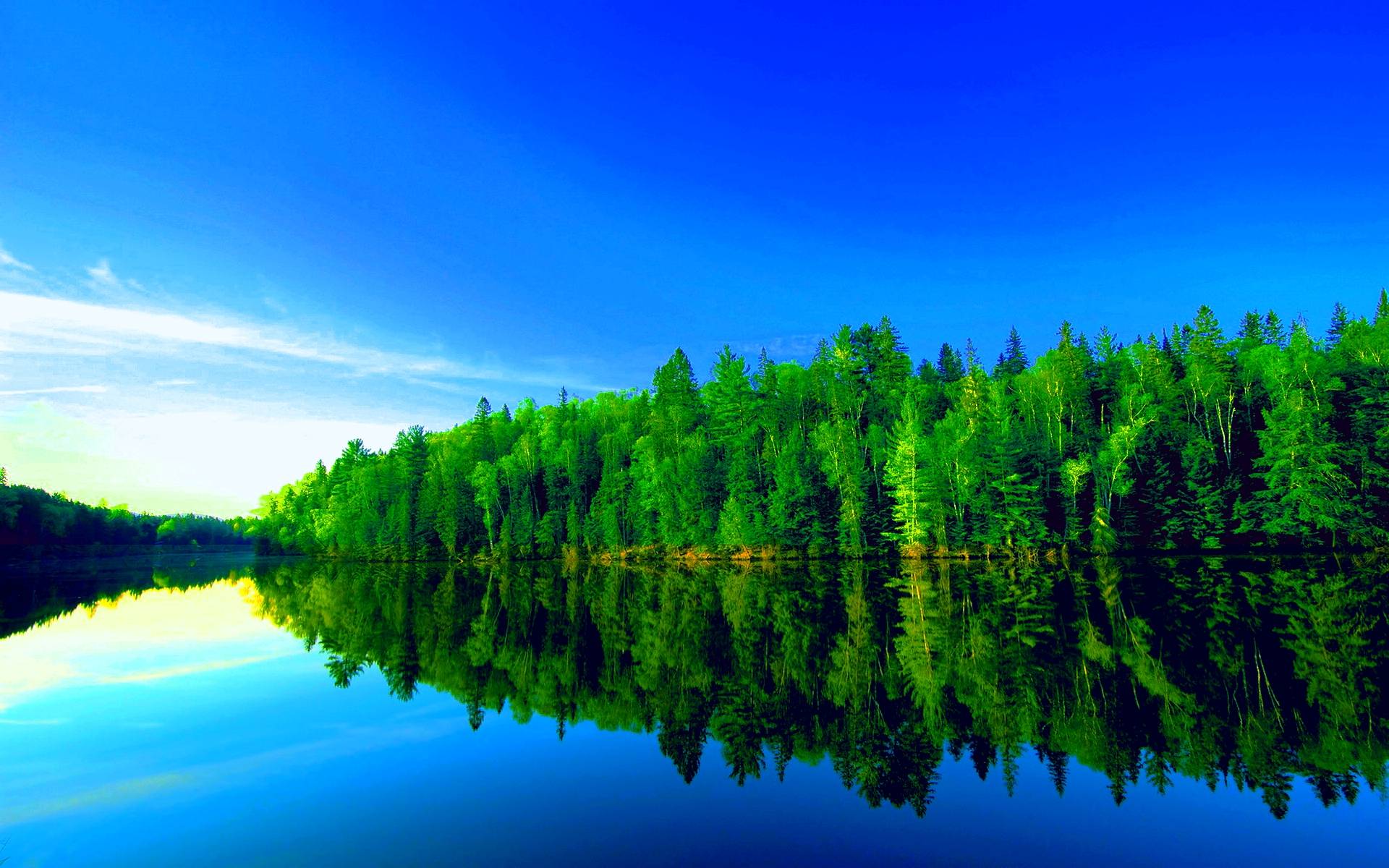 Green Forest Wallpapers Wallpaper Cave