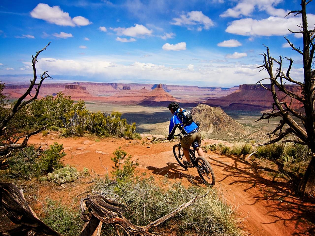 Mountain Bike Wallpapers Wallpaper Cave