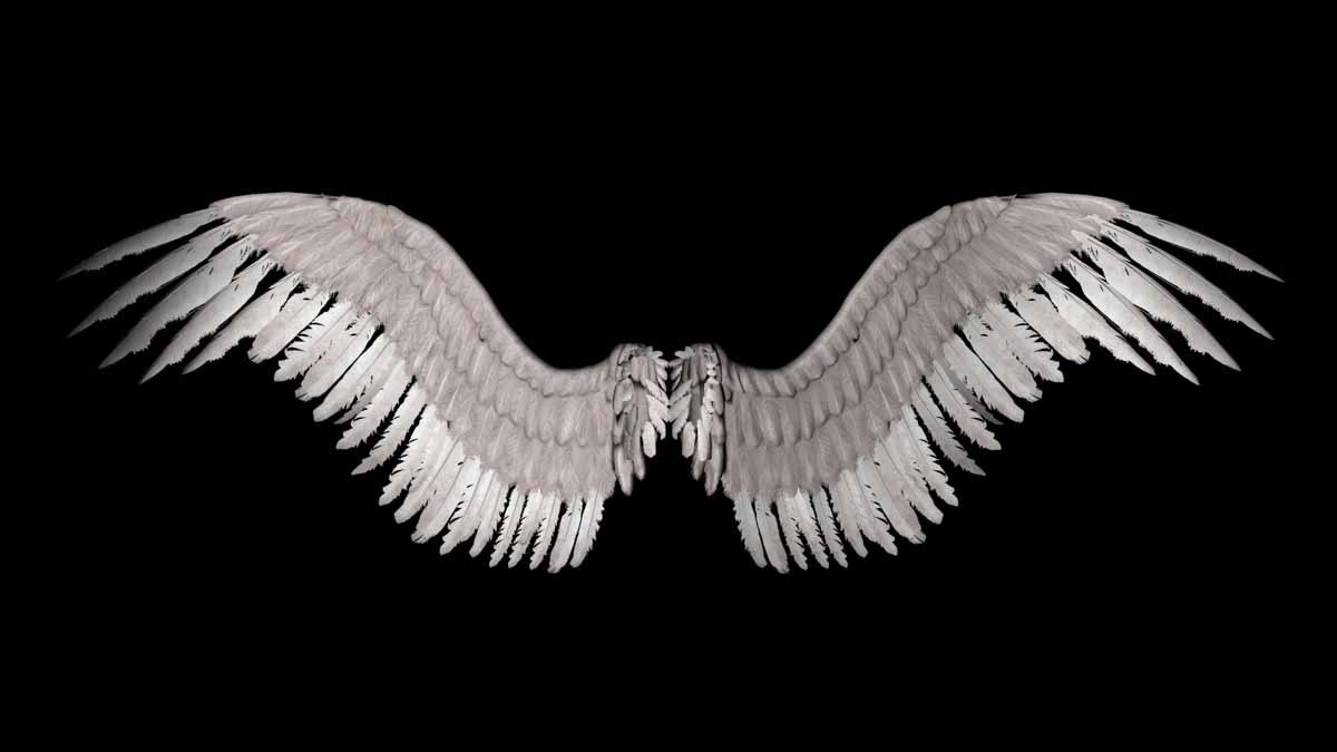 Angel Wings Wallpapers Wallpaper Cave