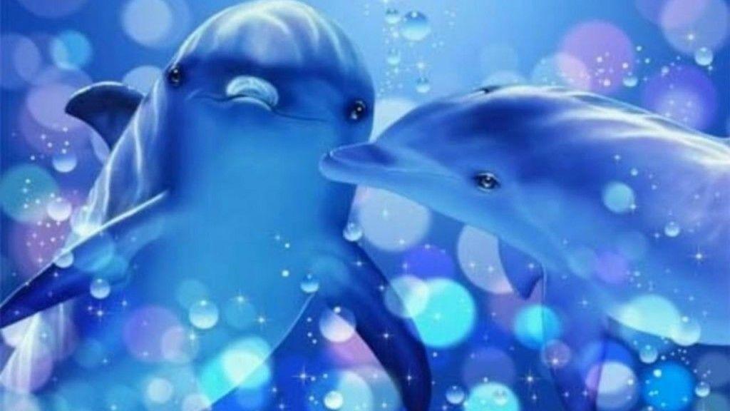 Cute Dolphin Wallpapers Wallpaper Cave