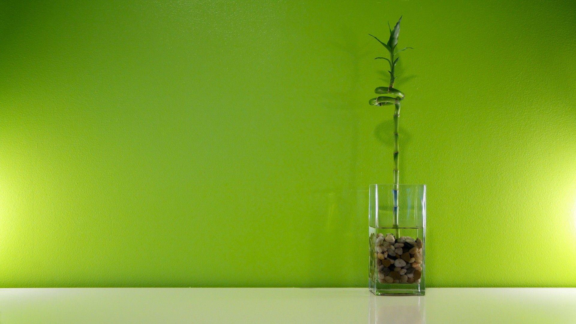 Green Bamboo Wallpapers Wallpaper Cave