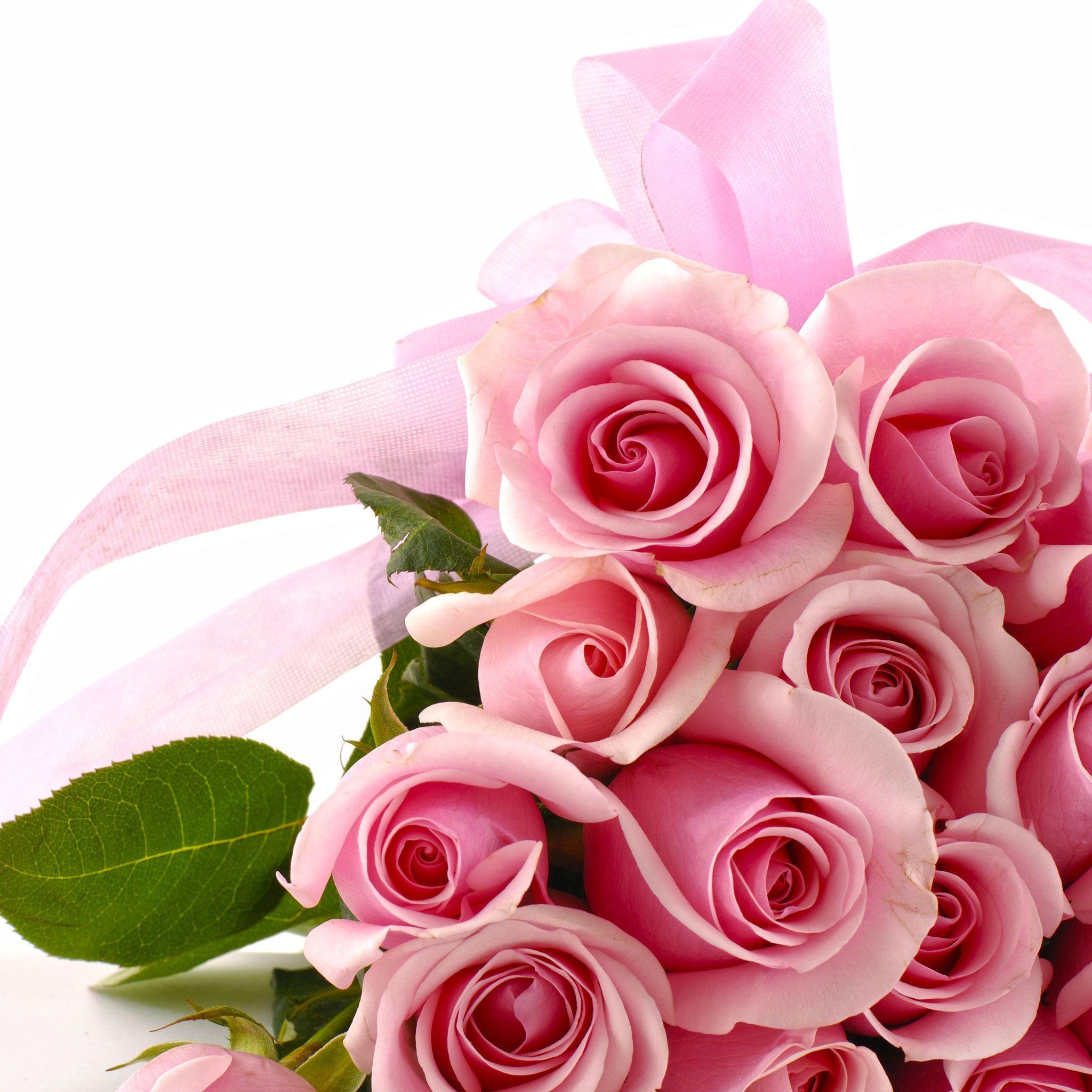 Wallpapers Pink Roses Wallpaper Cave