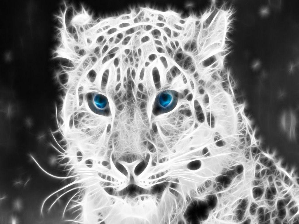 White Leopard Wallpapers Wallpaper Cave
