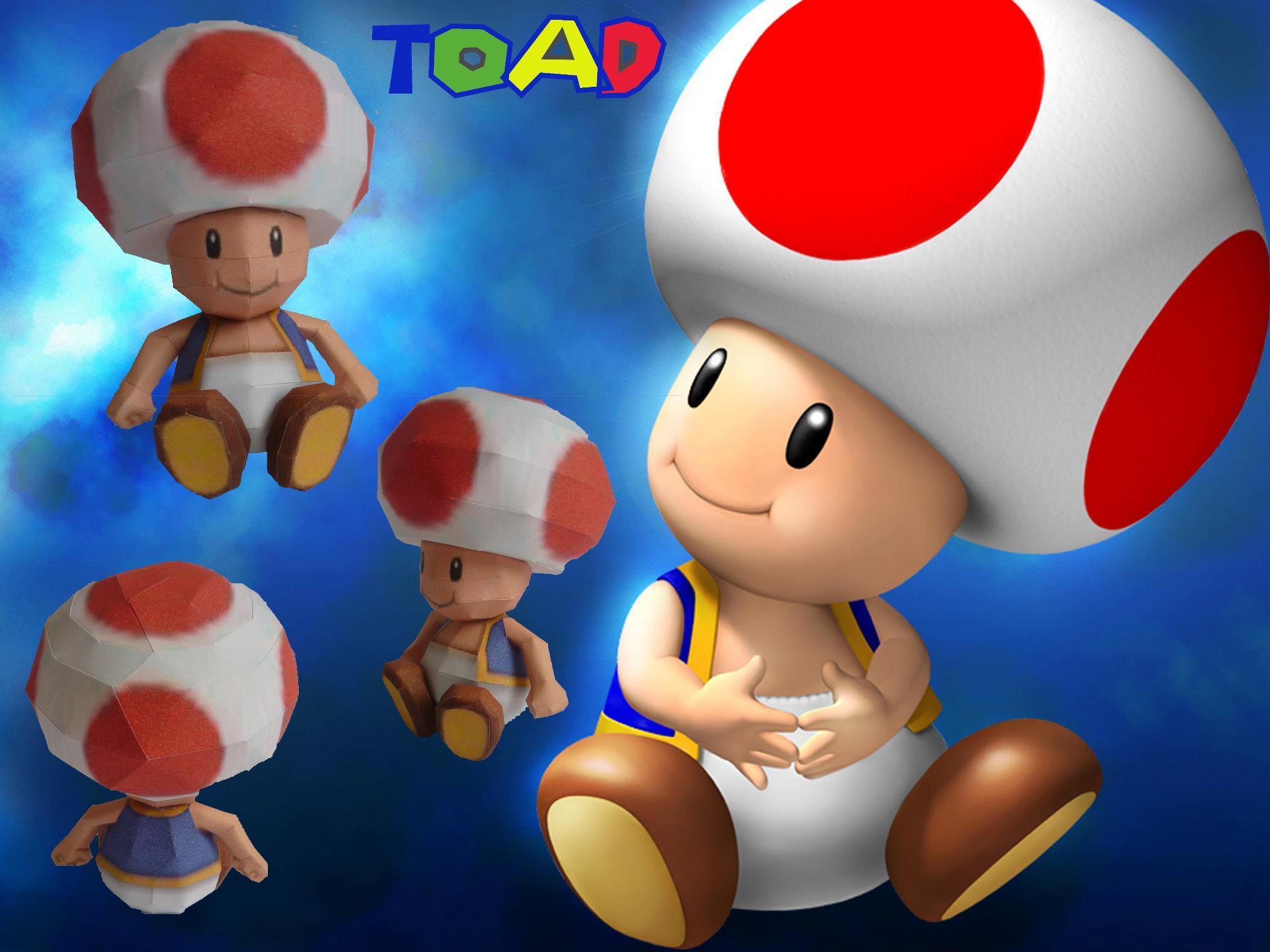 Toad Wallpapers Wallpaper Cave