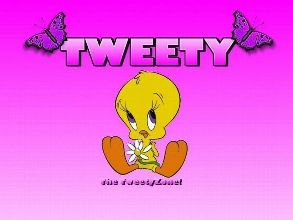 Free Tweety Bird Wallpapers Wallpaper Cave