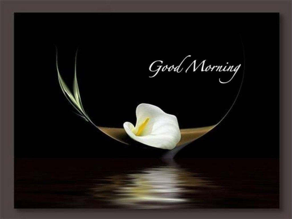 New Good Morning Wallpapers Wallpaper Cave