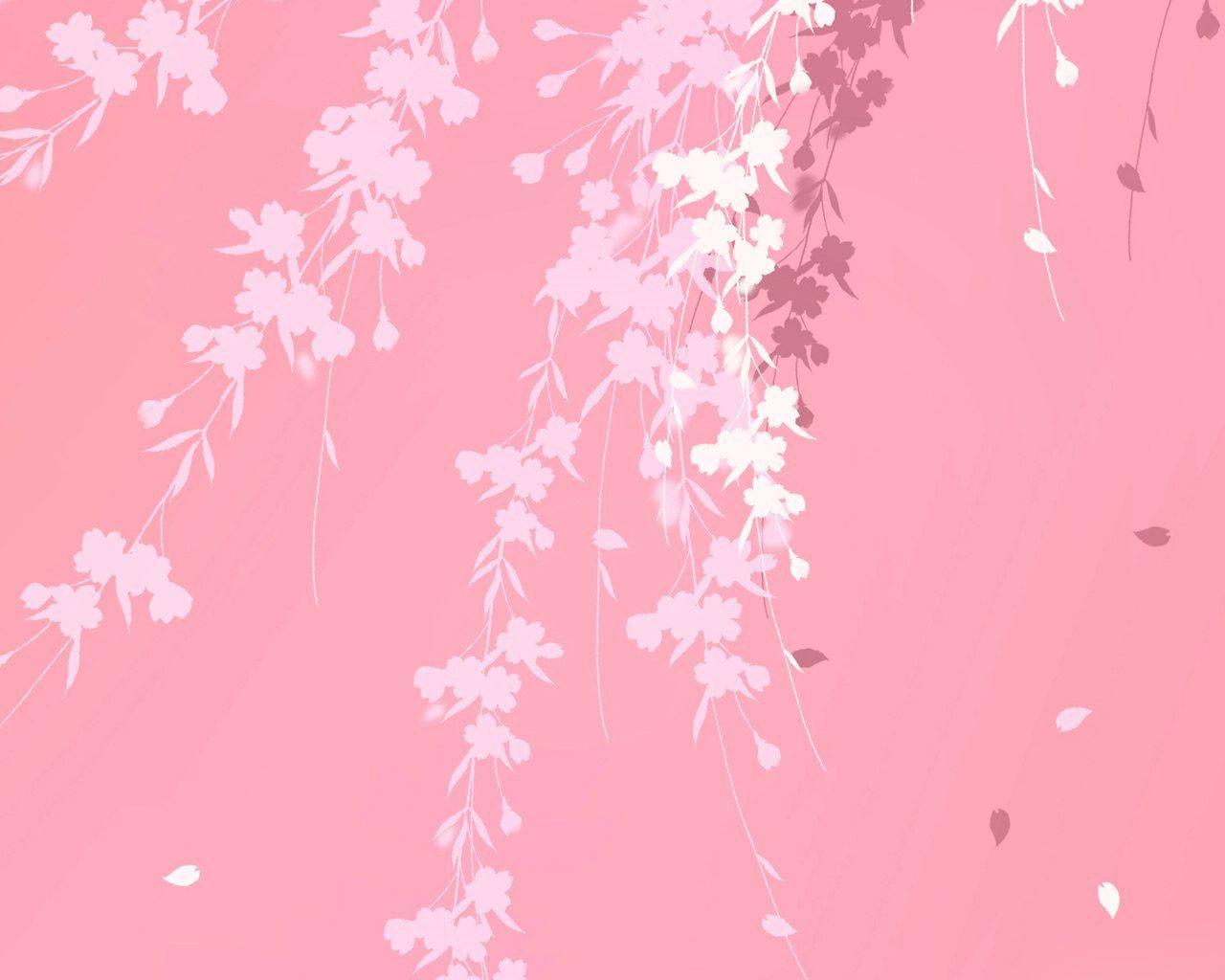 Free Pink Wallpapers For Desktop Wallpaper Cave