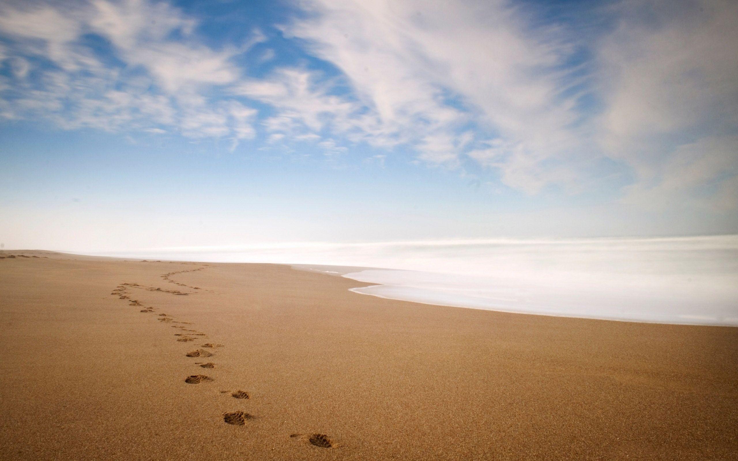 Footprints In The Sand Wallpapers Wallpaper Cave