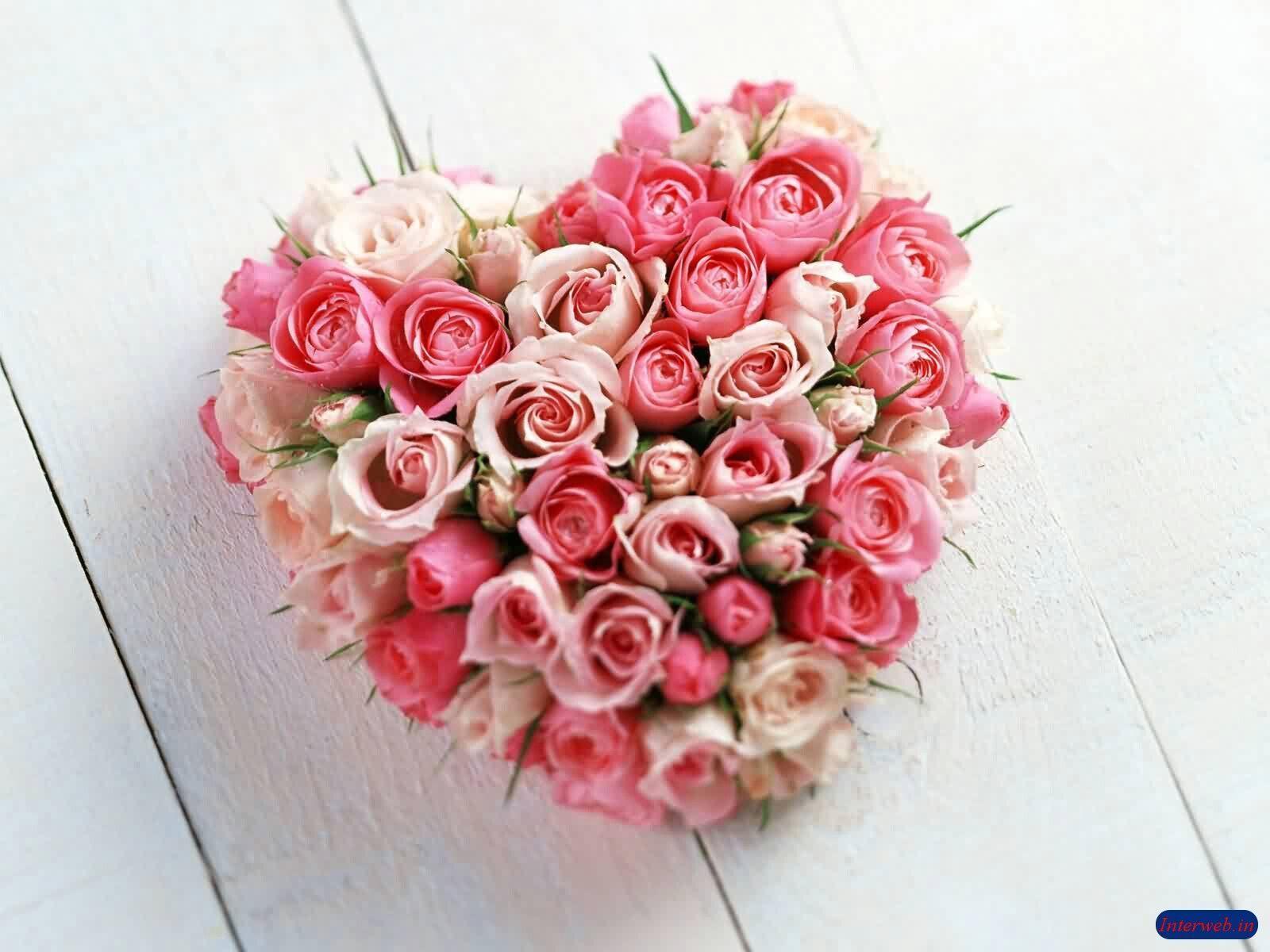 Love Beautiful Flowers Images Download / Dancing In Roses Love Rose