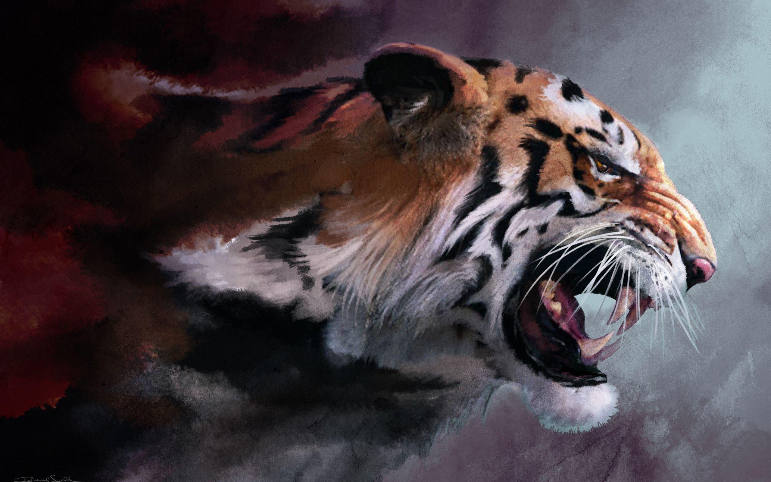 Big Cat Wallpapers Wallpaper Cave