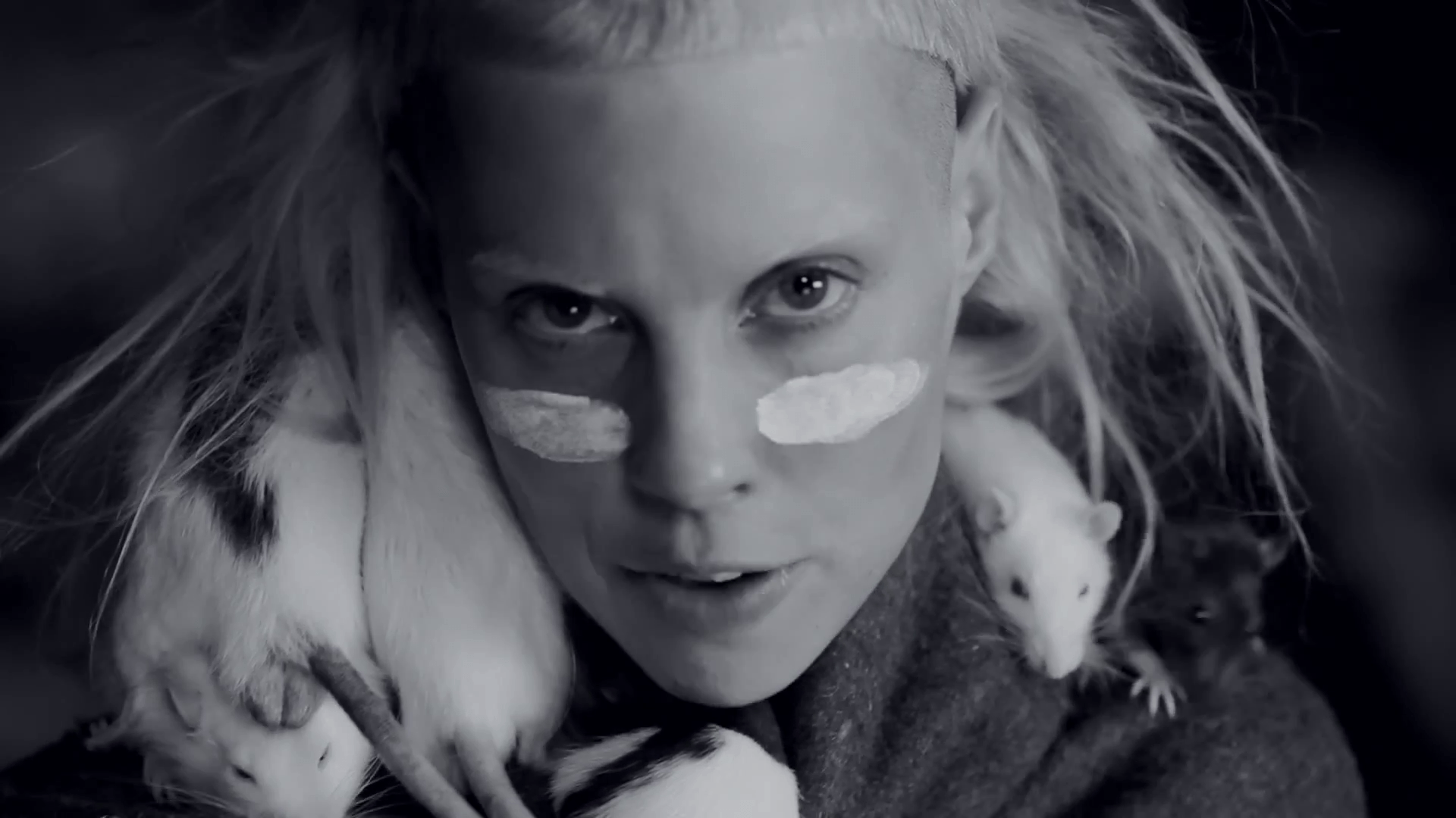 Die Antwoord Wallpapers Wallpaper Cave