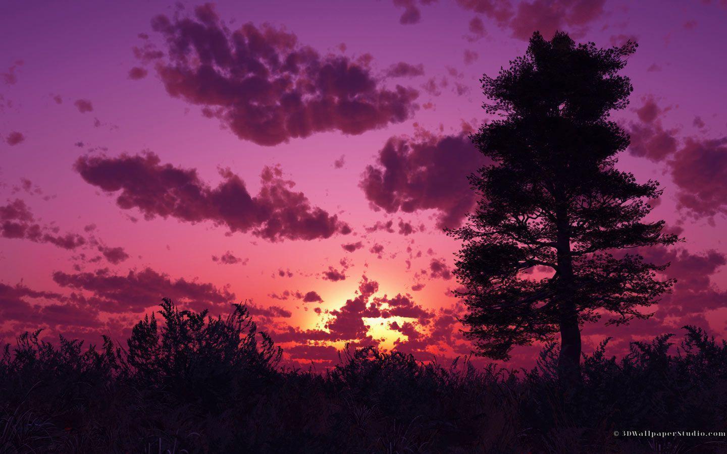 Purple Sunset Wallpapers Wallpaper Cave