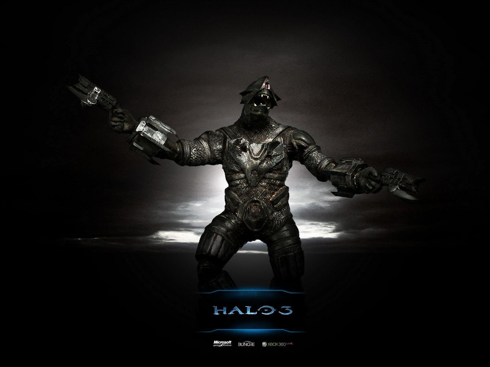 Funny Halo Wallpapers Wallpaper Cave