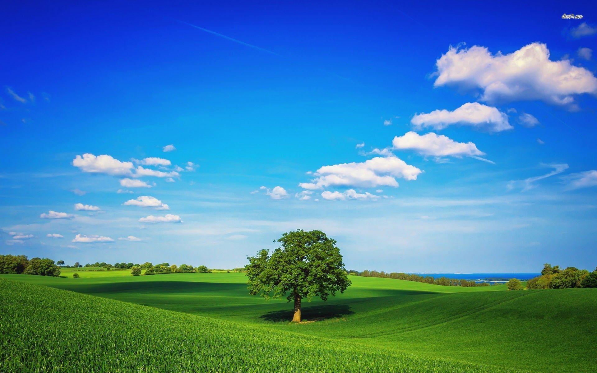 Green Hills Wallpapers Wallpaper Cave