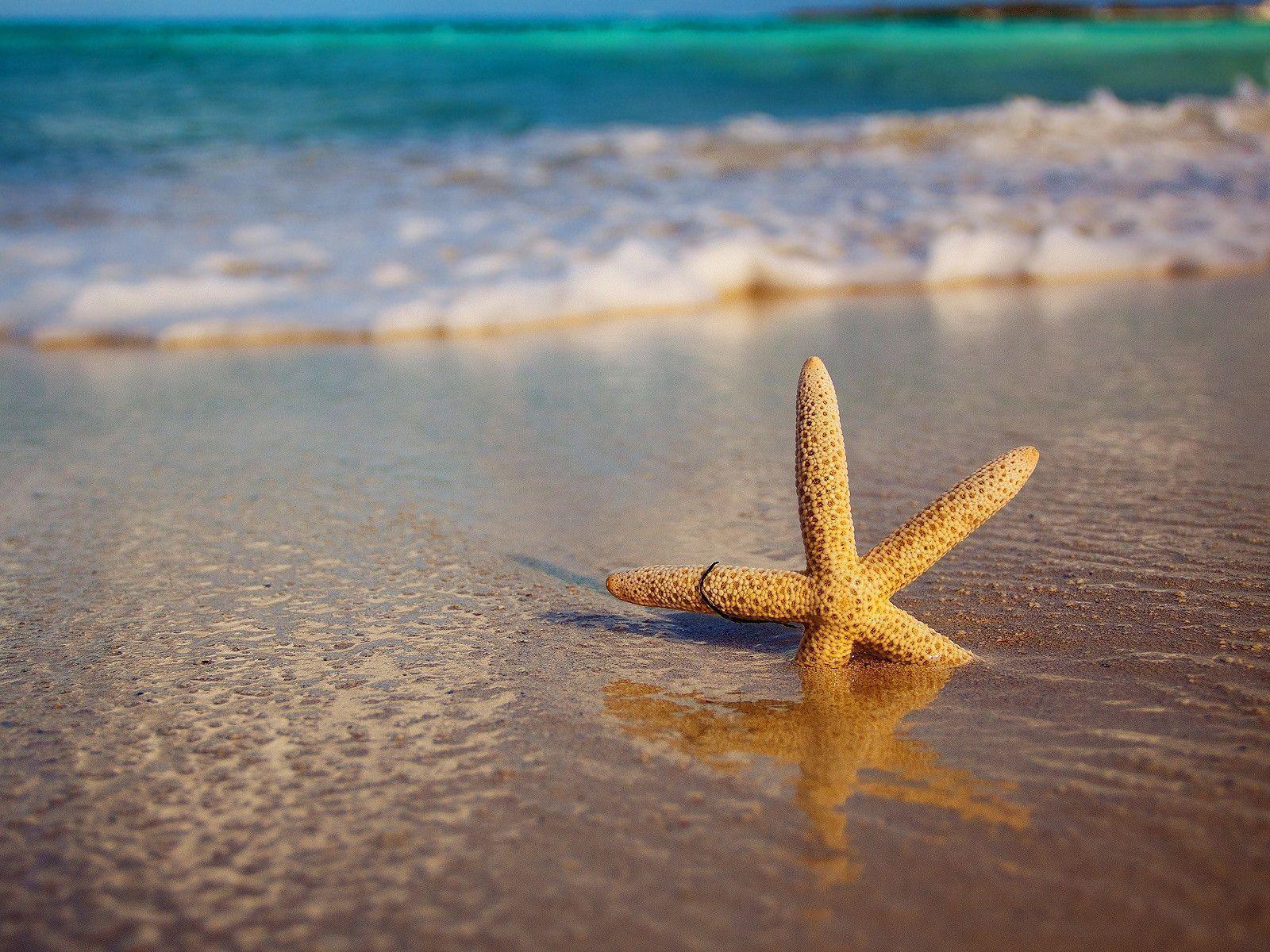 Sand Beach Wallpapers Wallpaper Cave