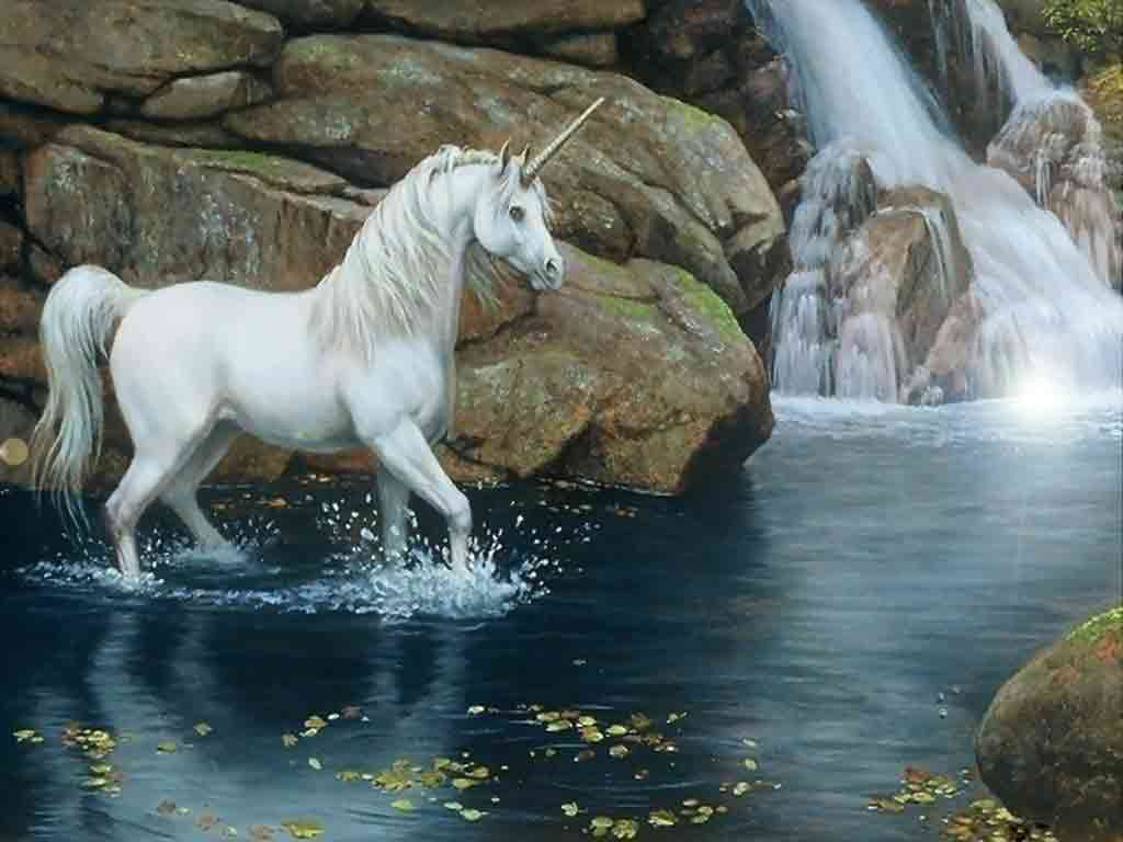 Unicorn Wallpapers Free Wallpaper Cave