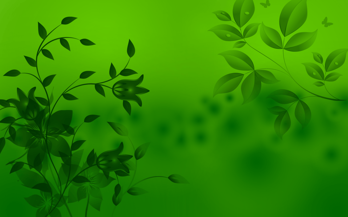 Green Wallpapers HD Wallpaper Cave