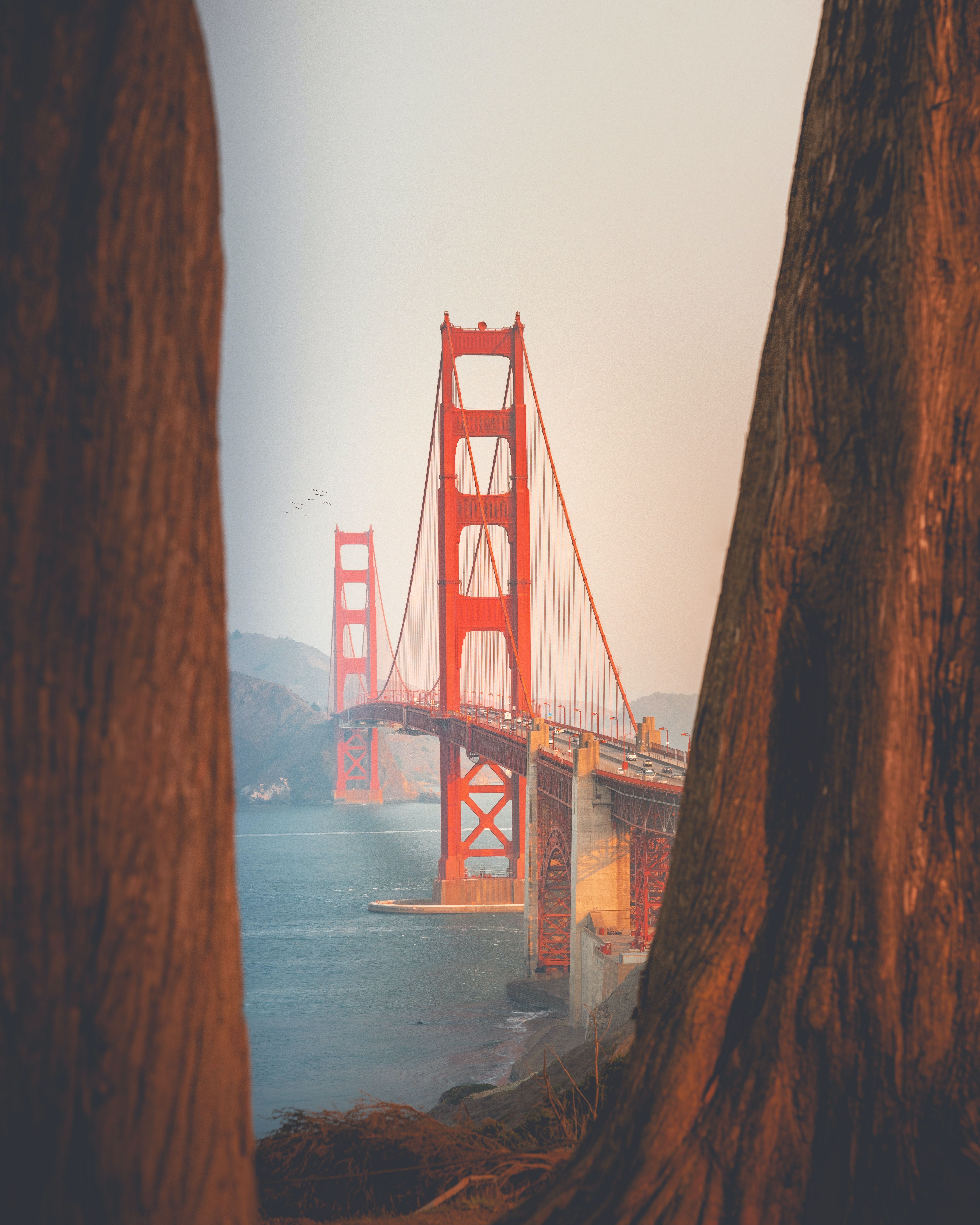 San Francisco Wallpapers Wallpaper Ice