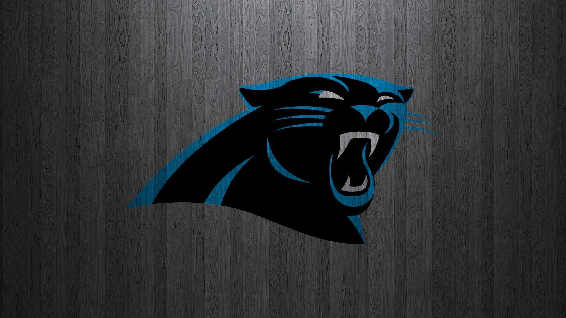 Carolina Panthers HD Wallpapers 2019 NFL Football Wallpapers
