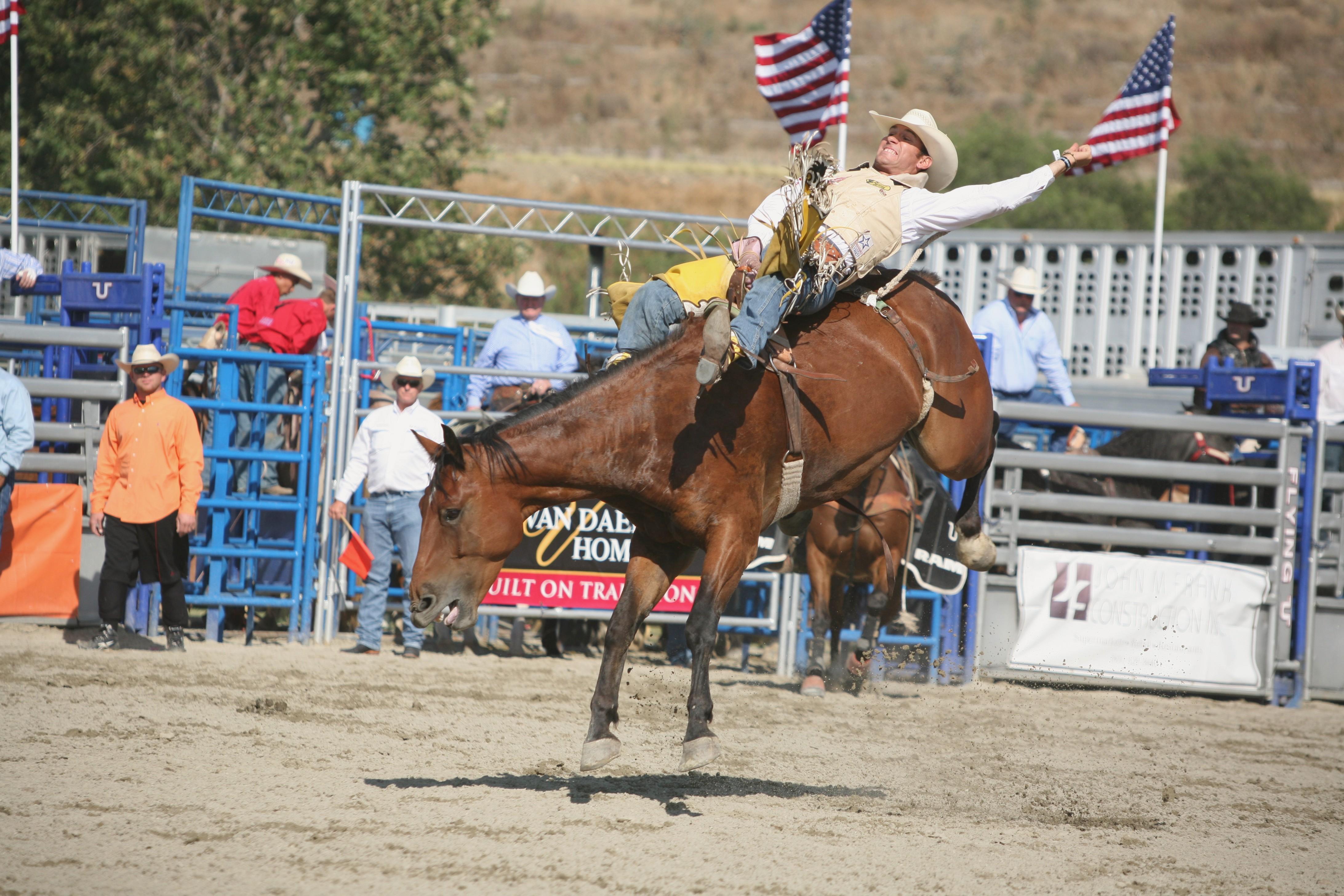 Rodeo Wallpaper HD Download