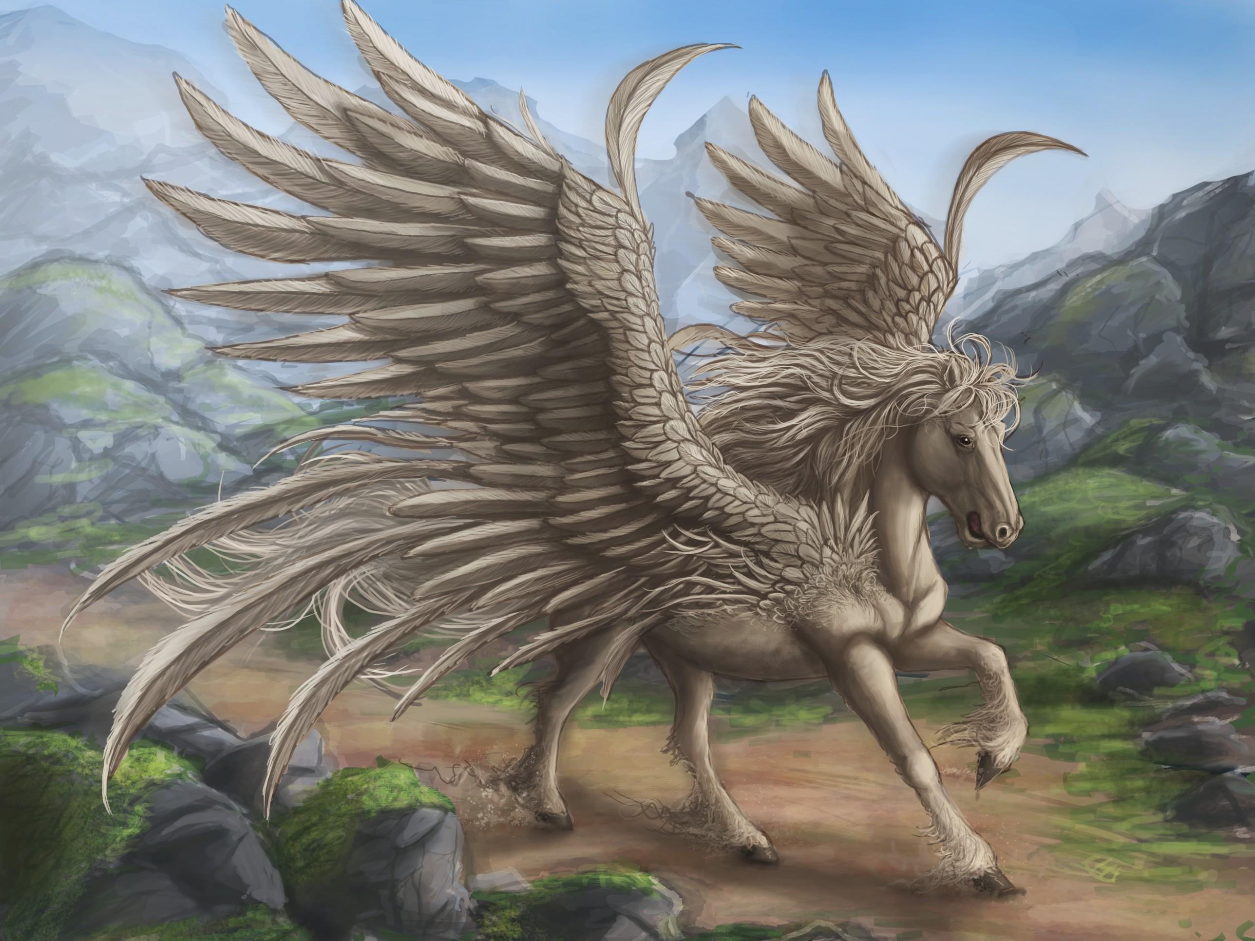 Pegasus Wallpaper HD Download