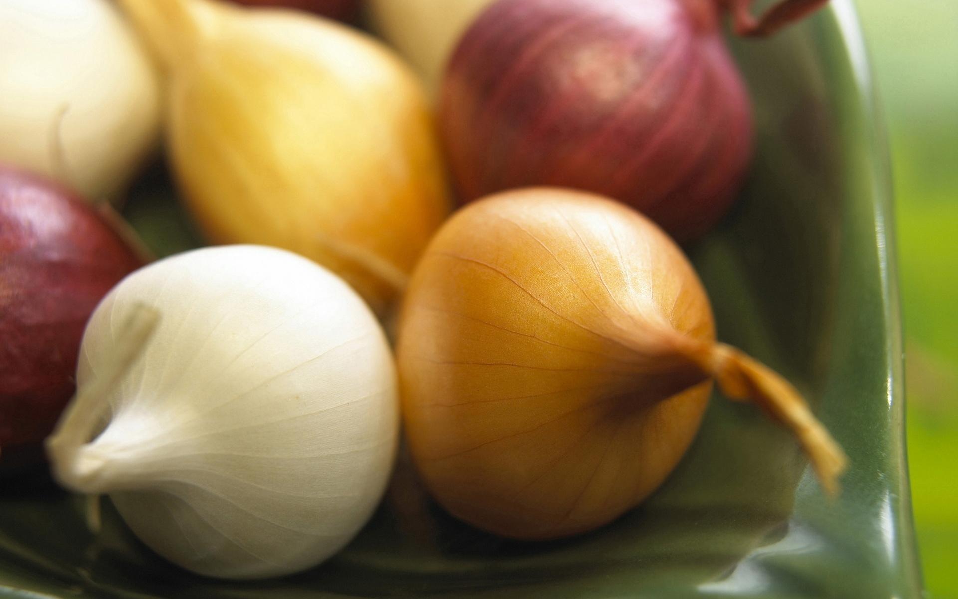 Onion Wallpaper HD Download