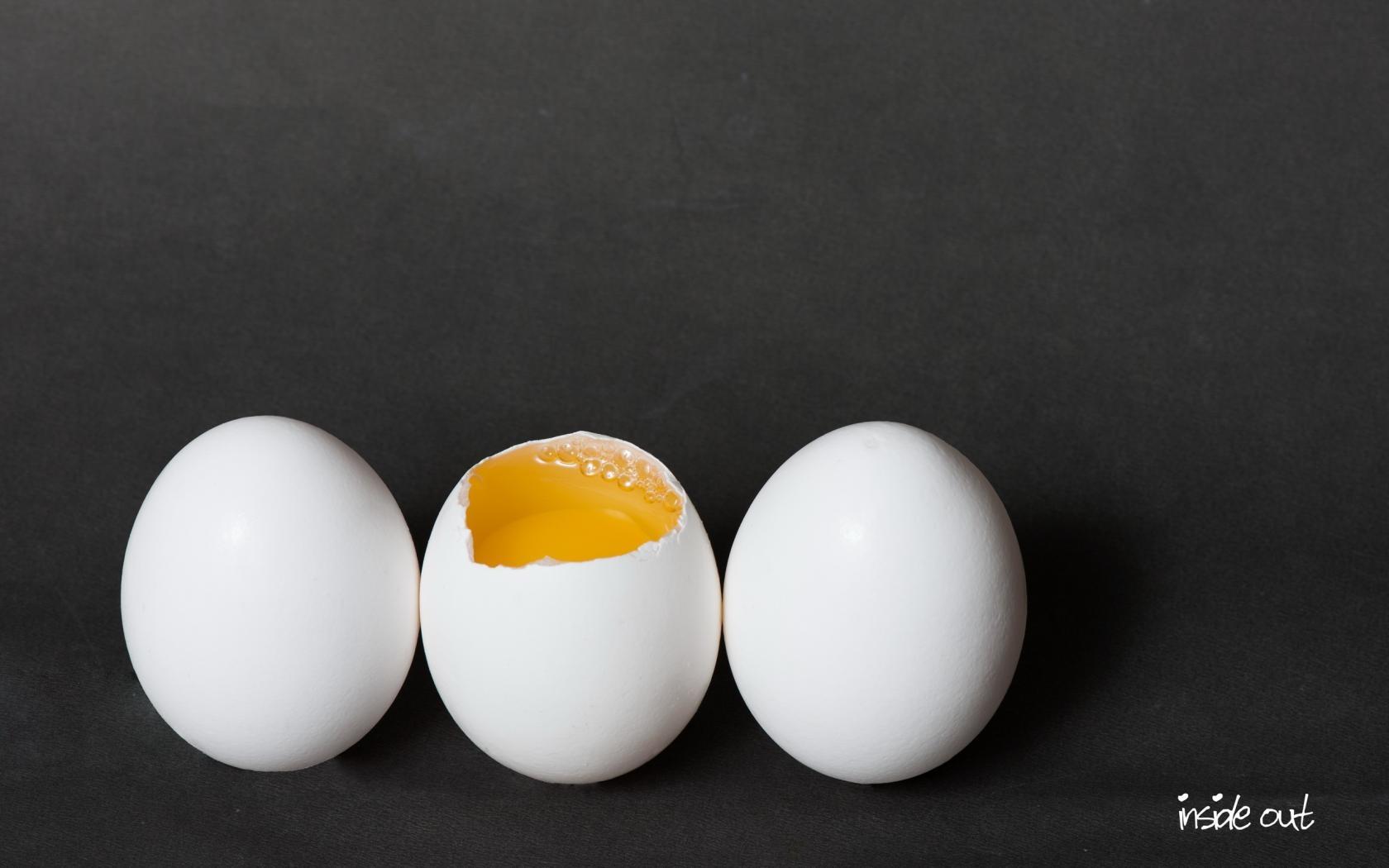 Egg Wallpaper HD Download