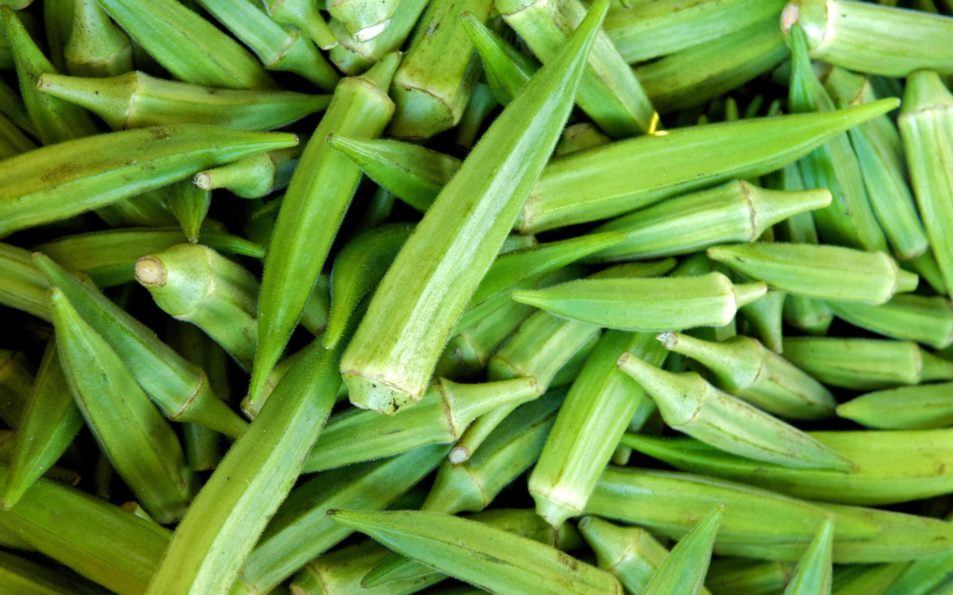 Okra Wallpaper HD Download