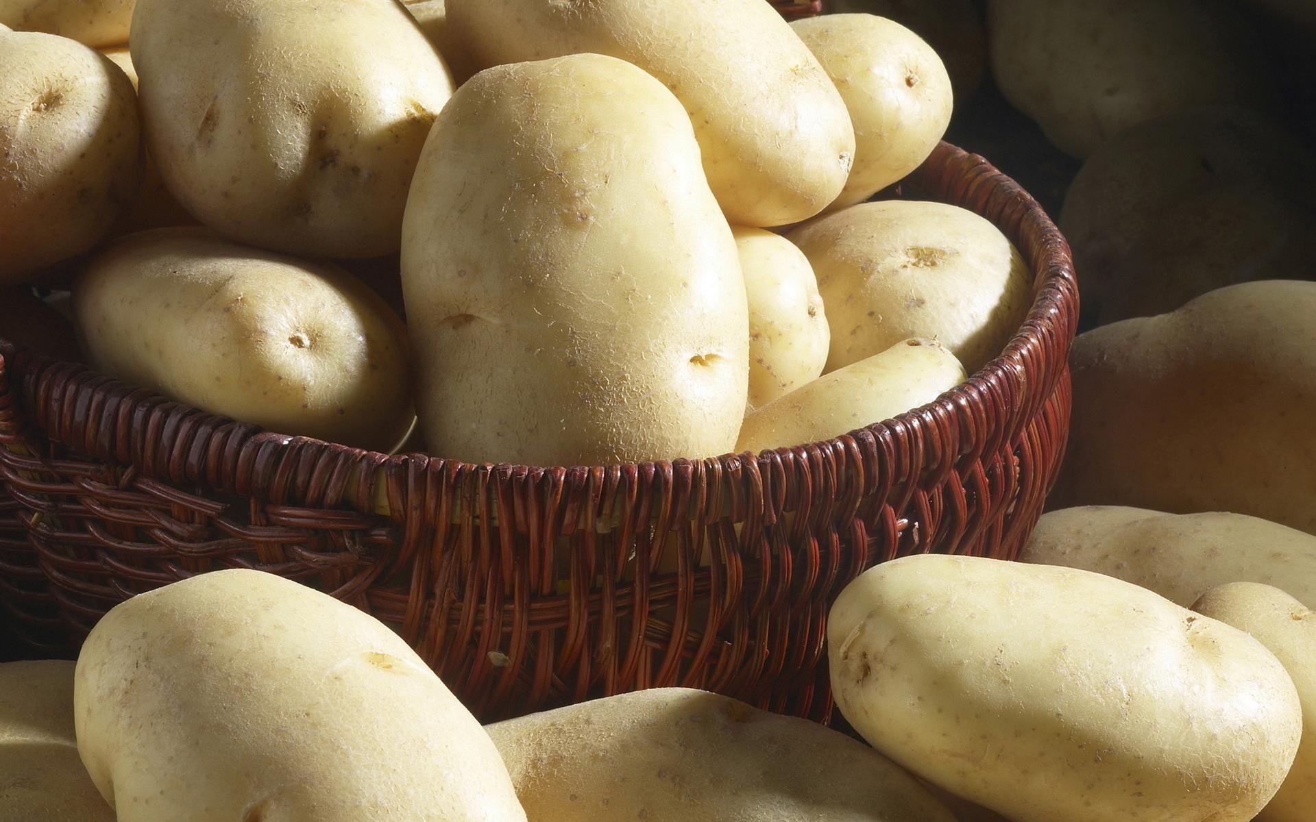 Potato Wallpaper HD Download