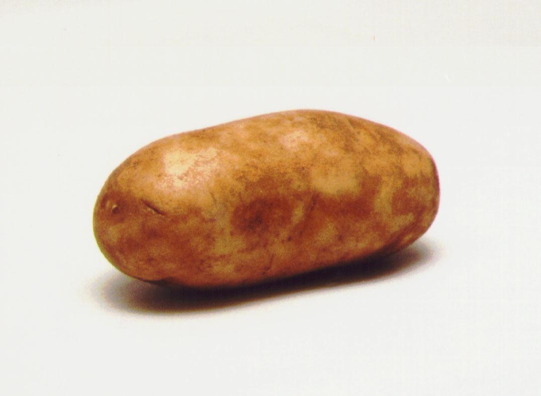 Potato Wallpaper HD Download