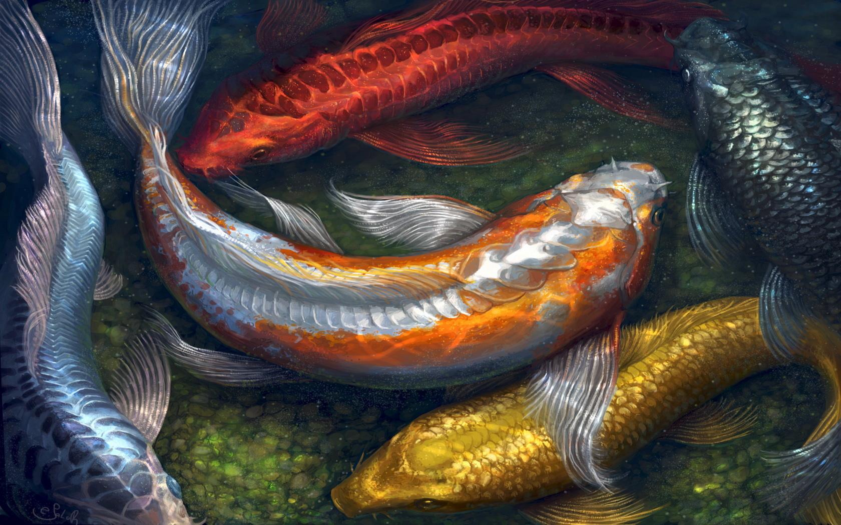 Koi Wallpaper HD Download
