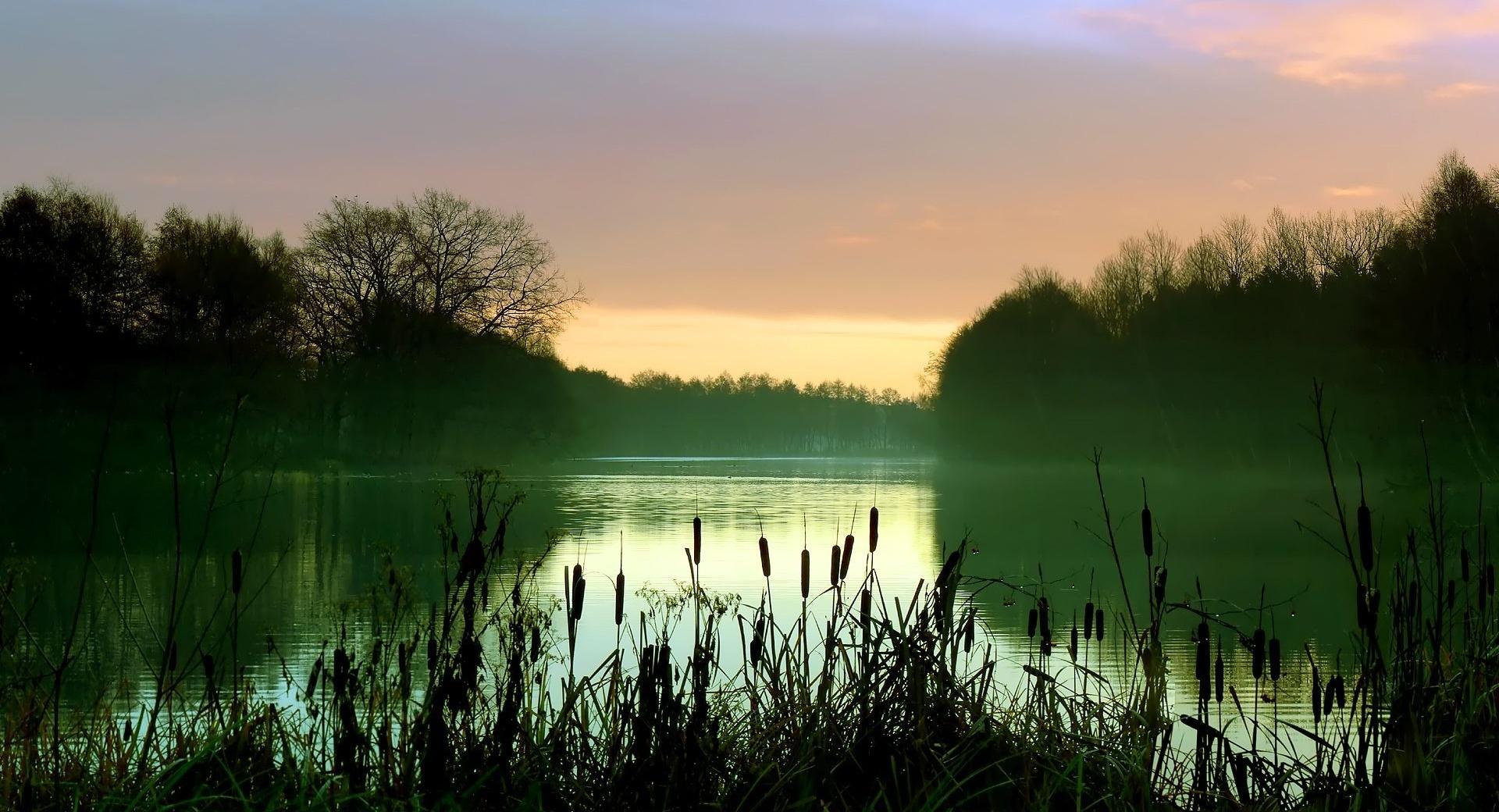 Green Lake Wallpaper HD Download