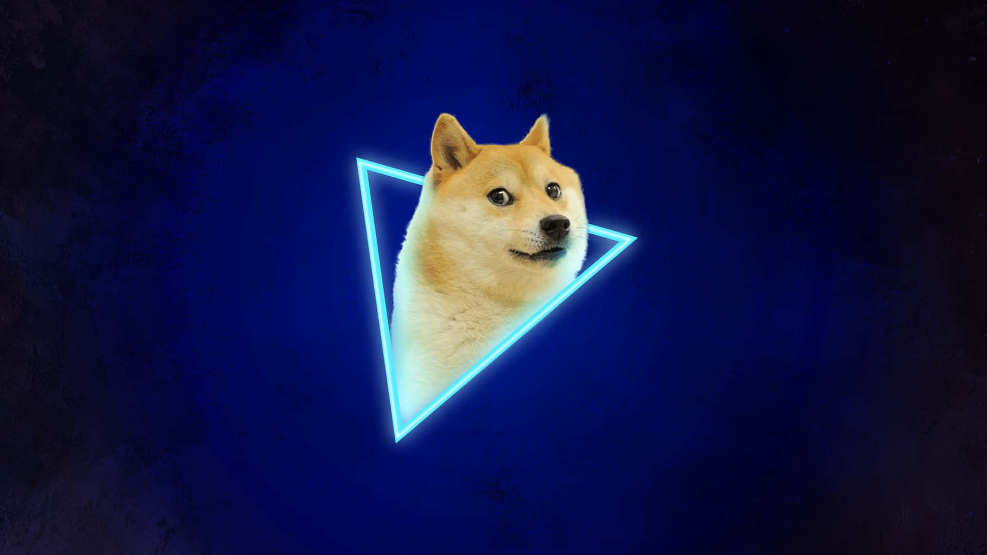 Doge Background 1920x1080