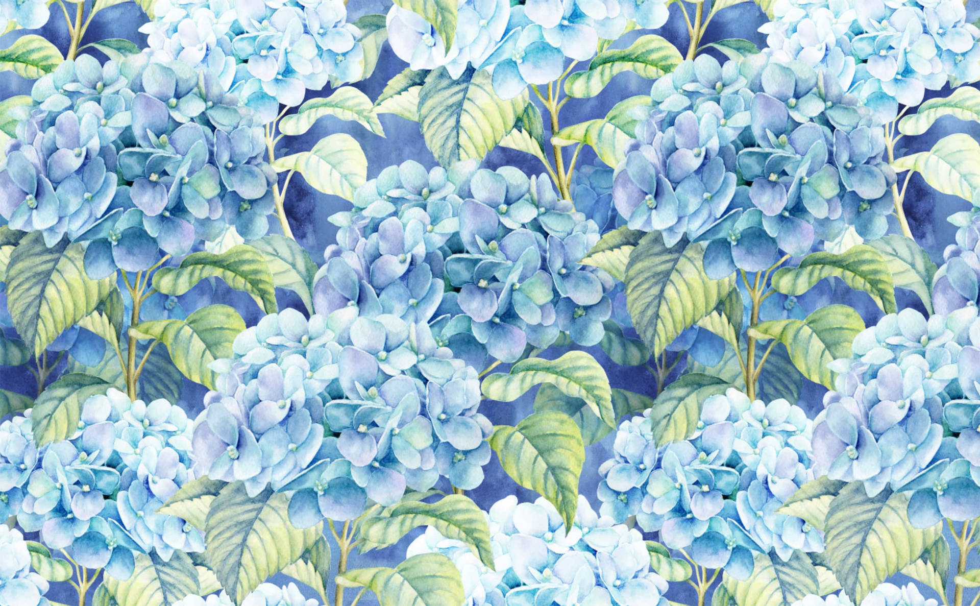 [100+] Hydrangea Wallpapers