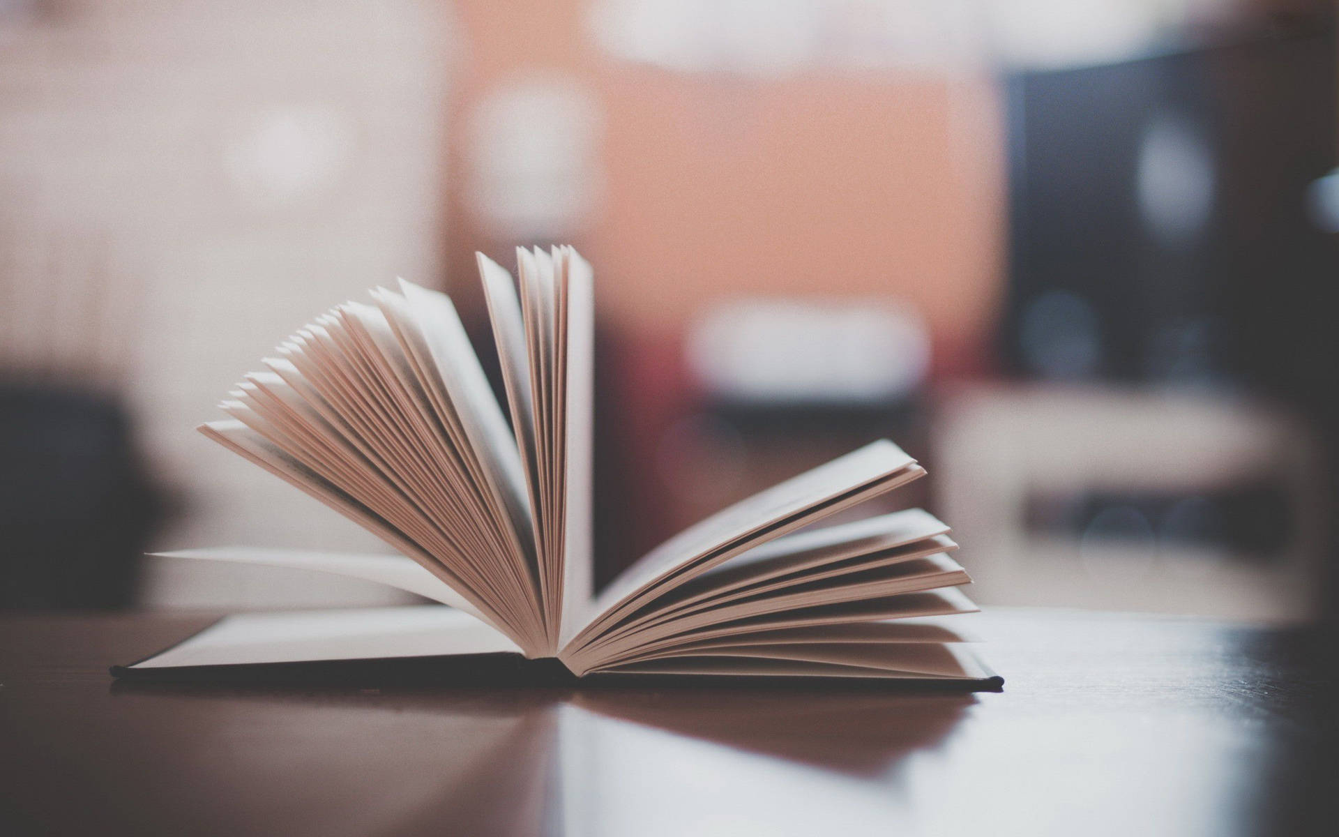 [500+] Fondos de fotos de Libro