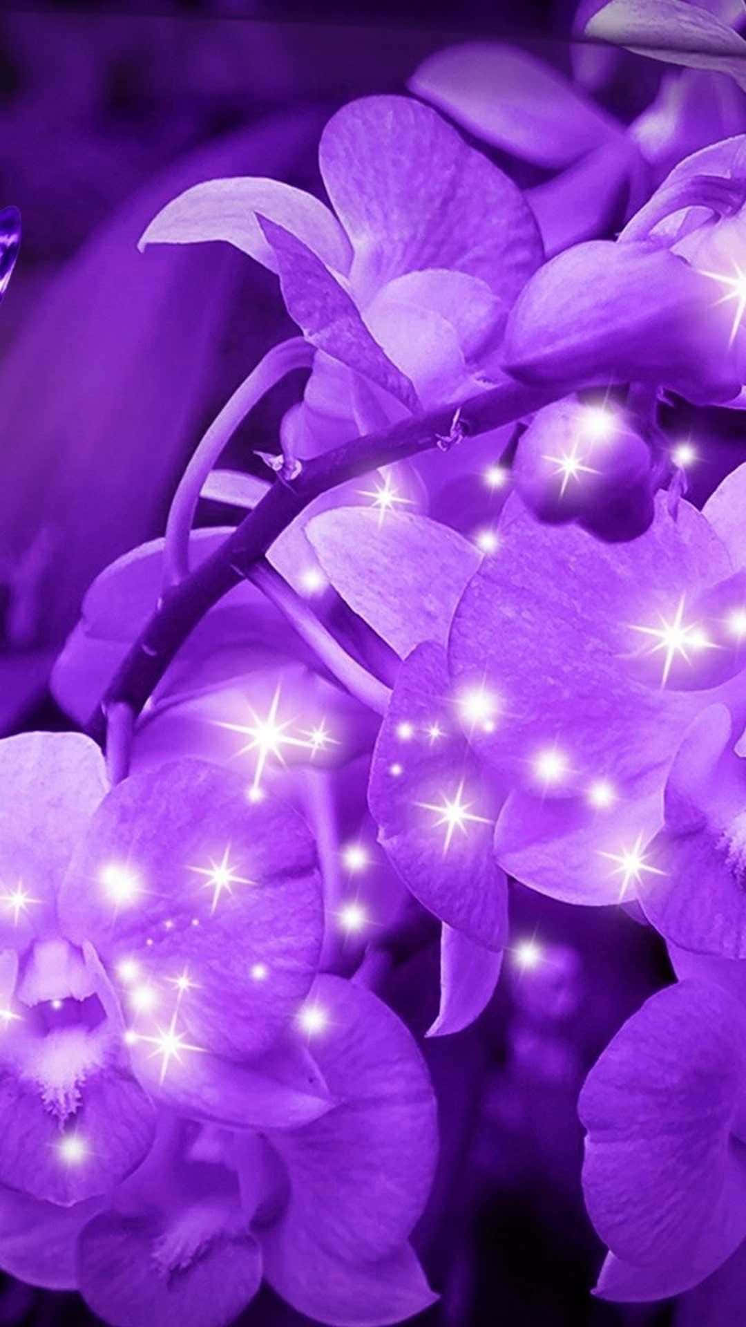 Beautiful Purple Flowers Wallpapers For Mobile Best Flower Site