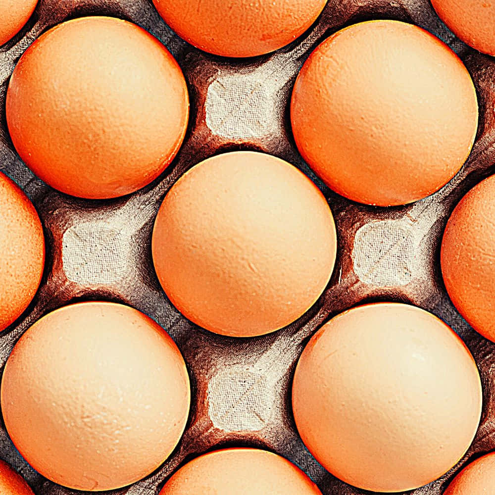 Download Egg Background