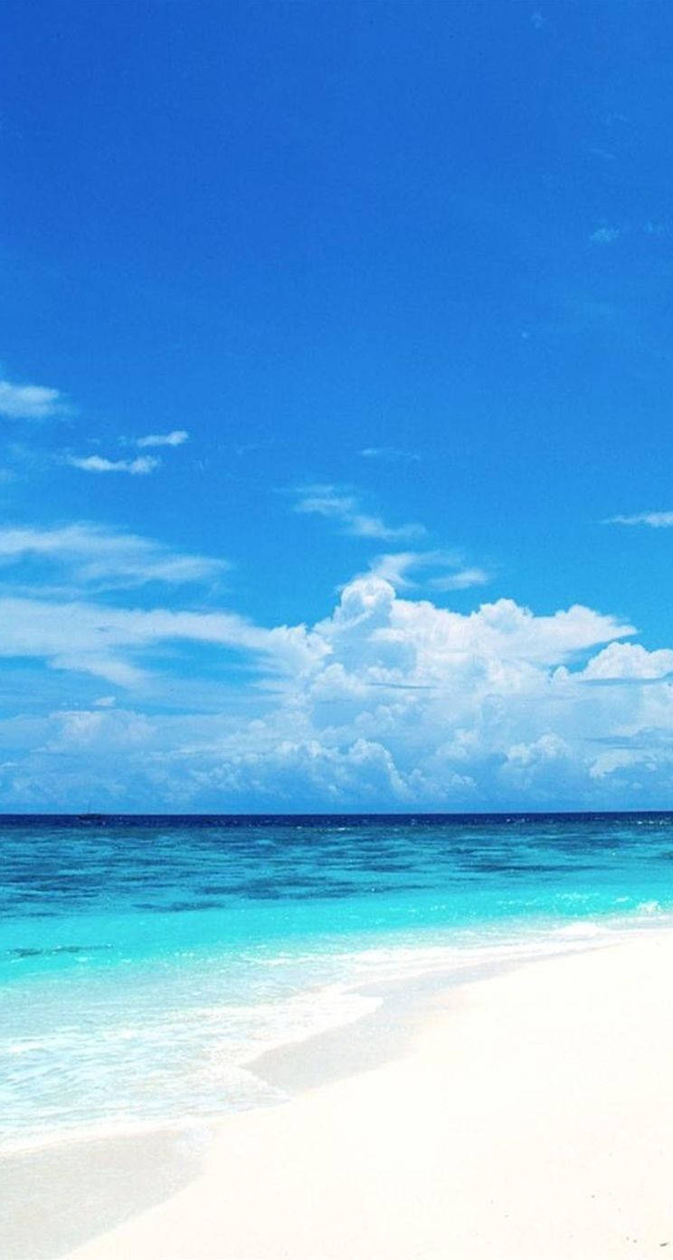 Download Bright Iphone Wallpaper