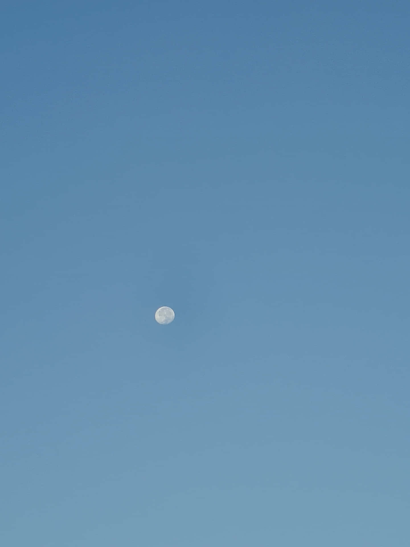 [100+] Solid Light Blue Backgrounds