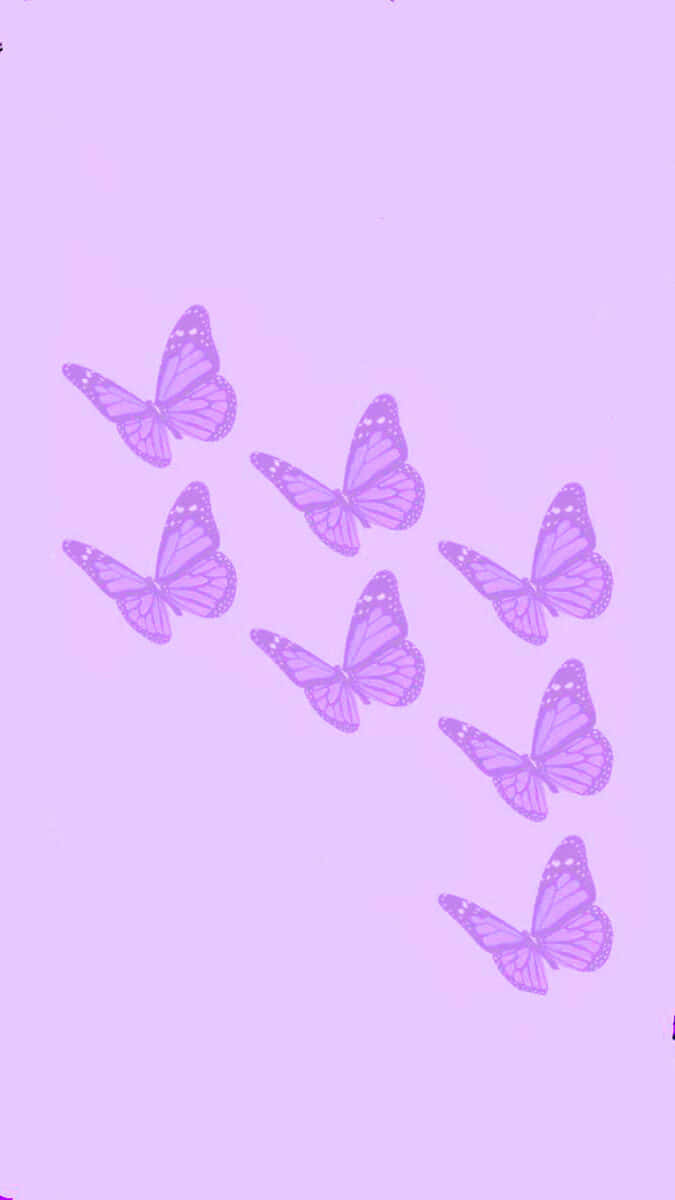 Download Solid Light Purple Butterflies Flying Wallpaper