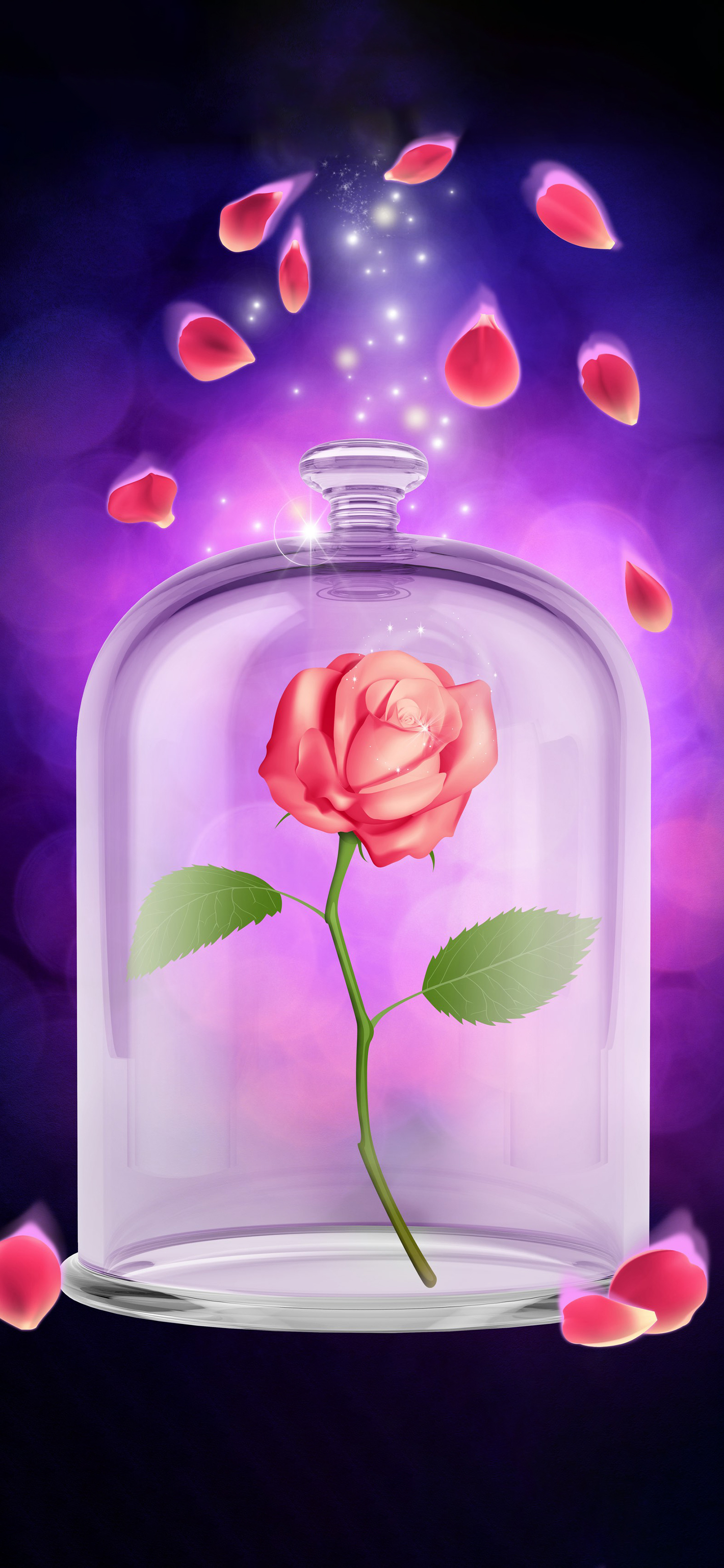 Beauty and Beast Rose Valentine's Day Wallpapers Central