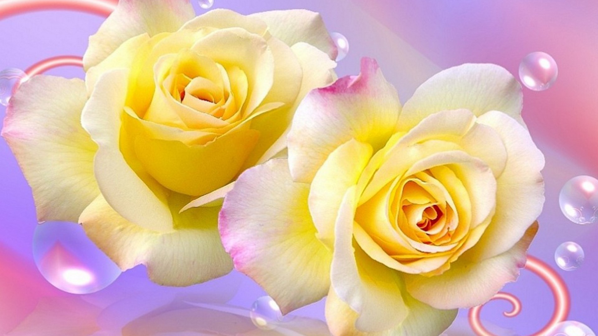 Computer Wallpapers Yellow Flower Cute Wallpapers 2022
