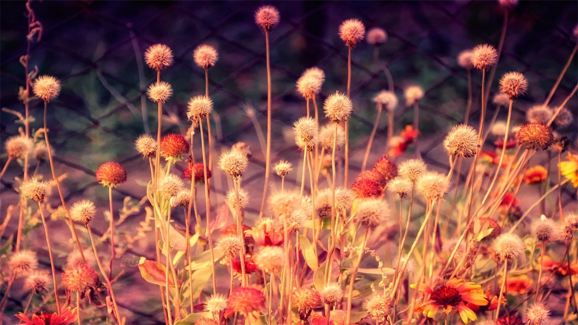 Fb Cover HD Wallpaper (71+ pictures)