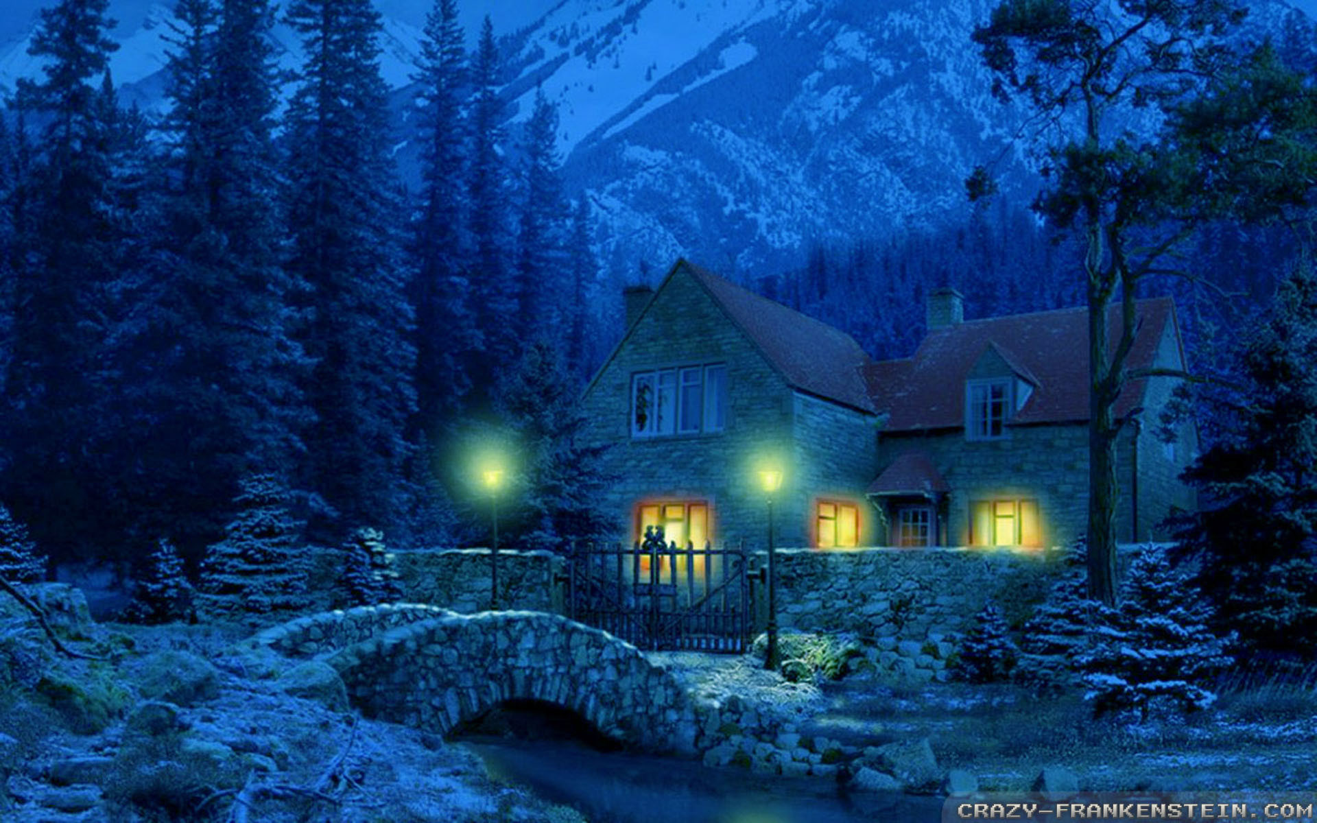 Winter Night Wallpaper (81+ pictures)