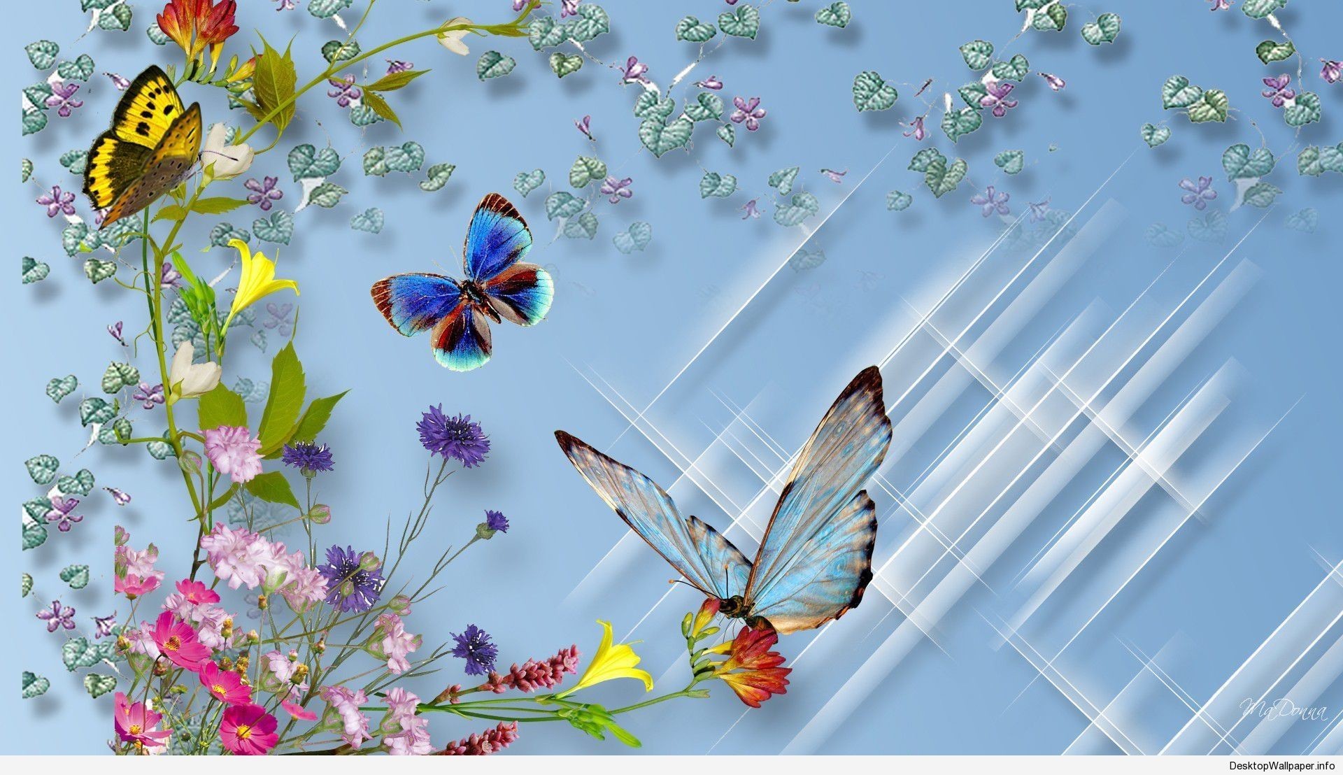 Beautiful Butterfly Wallpaper (58+ pictures)